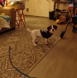 Meet your Posher, Bonnie